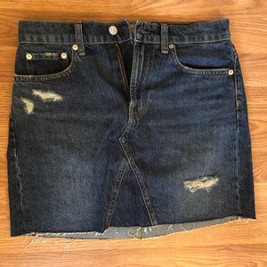 Everlane Denim Mini Skirt Size 27